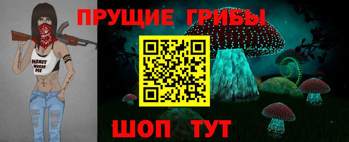 Северск  Псилоцибиновые грибы мухоморы  Вход с VPN 